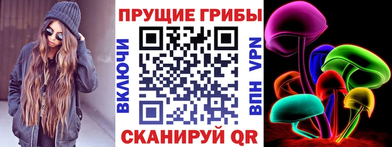 OMG ONION  купить наркоту  Пудож  Галлюциногенные грибы прущие грибы 